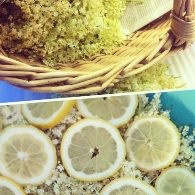 Homemade Elderflower Syrup