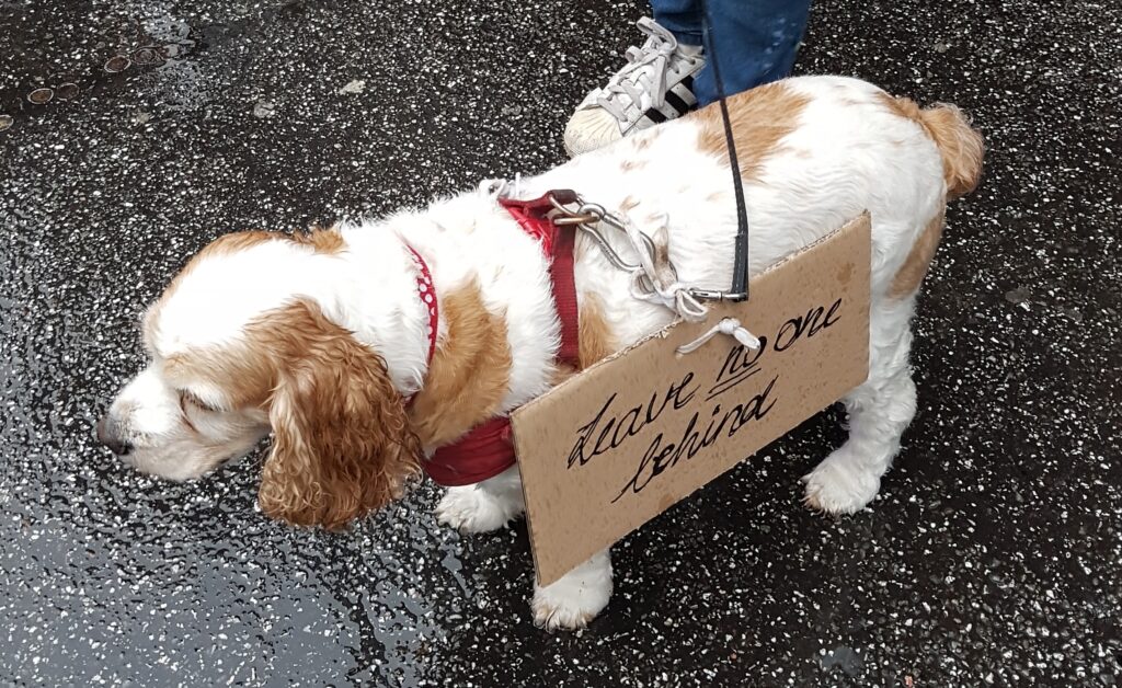 #leavenoonebehind demonstration doggie in the rain