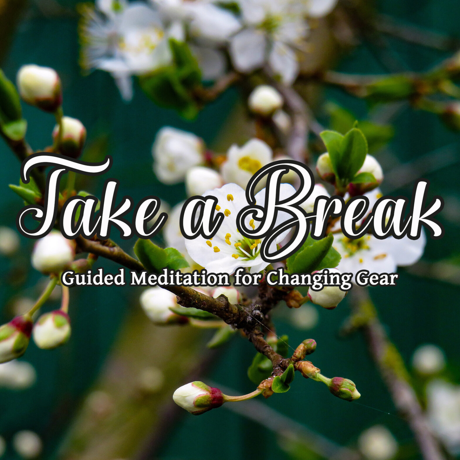 14min 3 Step Breathing Break free guided meditation
