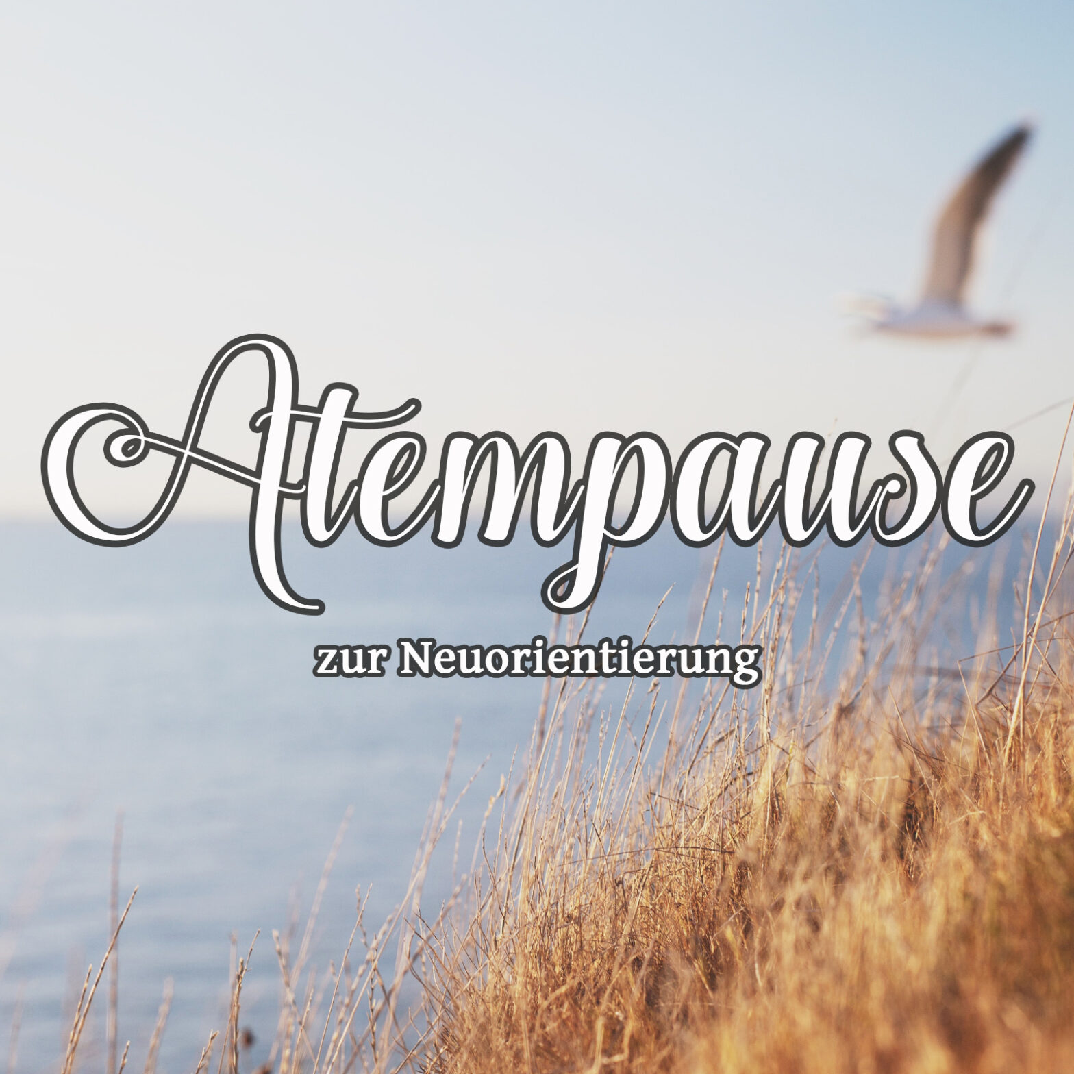 12min geführte Meditation Atempause zur Neuorientierung