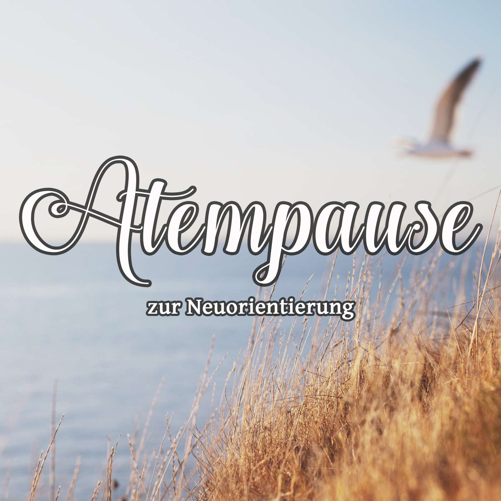 12min geführte Meditation Atempause zur Neuorientierung