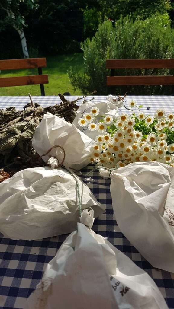 Selbstgemachte Teemischung aus dem Garten