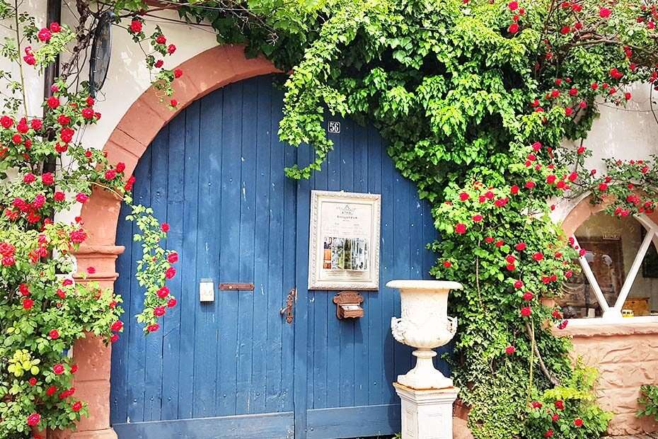 Ein blaues, geschlossenes Tor mit Rosen umrankt, davor steht eine große Vase