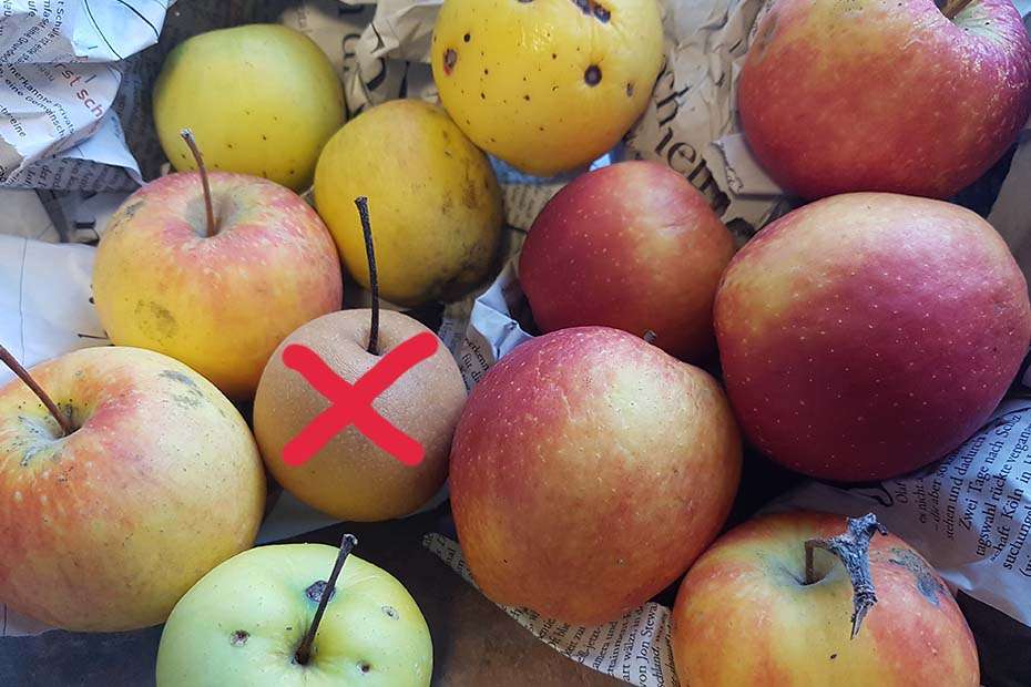 there are different kinds of apples with one crossed out 