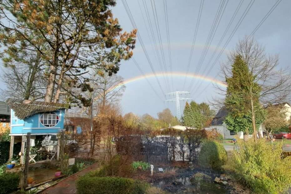 a wide angle landscape with a light blue treehouse on the left, a small pond, a street in front, power supply lines and a double rainbow