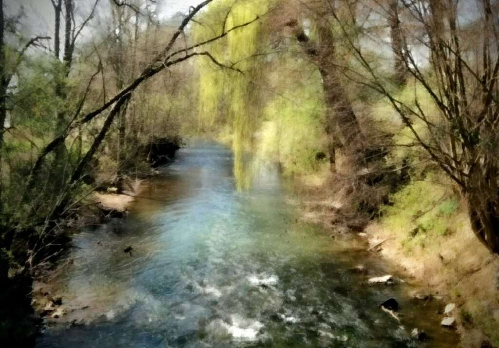 River lined with green trees, the photo is blurry